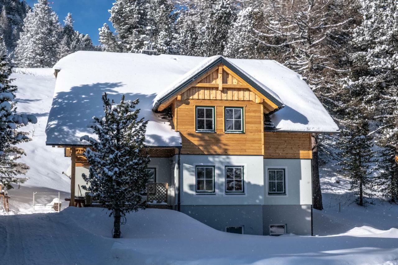 Peters Alm Villa Turracher Hoehe Ngoại thất bức ảnh